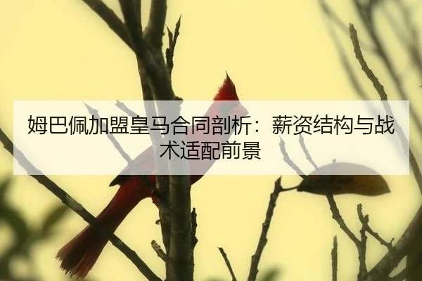 mu-ba-pei-jia-meng-huang-ma-he-tong-pou-xi-xin-zi-jie-gou-yu-zhan-shu-shi-pei-qian-jing-2-613.jpg